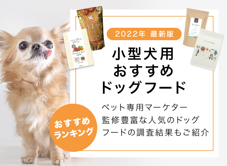 小型犬用おすすめドッグフード